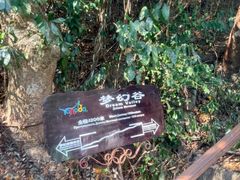 -呀诺达热带雨林