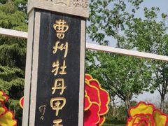 -曹州牡丹园