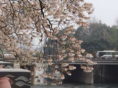 -红星桥(地铁站)