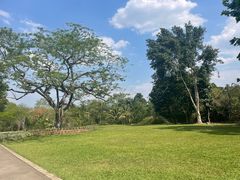 -中国科学院西双版纳热带植物园