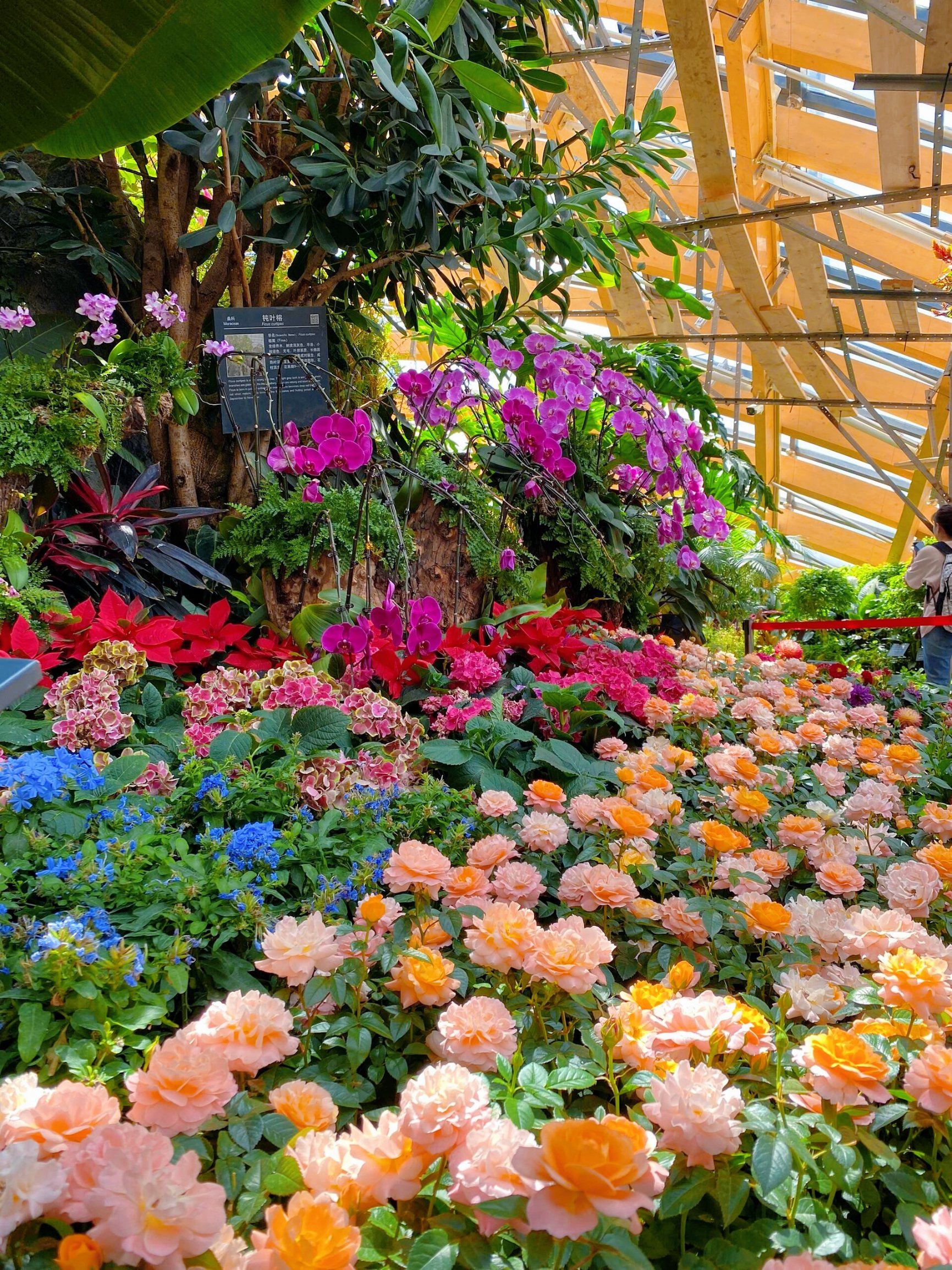 📢来太原植物园,"穿越未来"看最美绿植