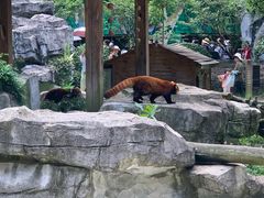 -黔灵山公园