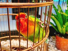 -老湘亲·品鉴湘菜(蔡塘爱琴海店)