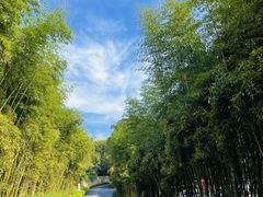 -天目湖涵田度假村