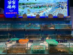 水产区-昌隆•家家鹅乡•海南菜老字号(琼海店)