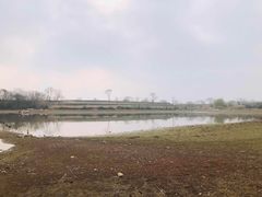 -盘龙城国家考古遗址公园