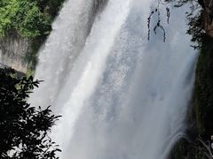 -昆明冠生园·蛋糕·面包(南强街店)