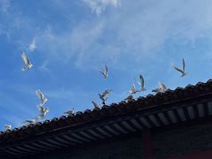-顺峰山公园
