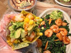 -油梨树AVOCADO TREE(望京店)