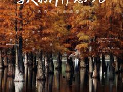 -白鹭湾湿地公园