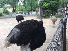 -祥源·阜阳生态乐园