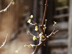 -颐和园