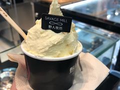 -野人先生现做冰淇淋(西安赛格店)