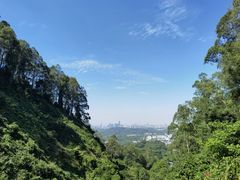 -水濂山森林公园