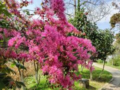 -艾溪湖湿地公园