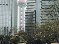-陆家嘴中心绿地