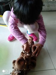 -金鹰标榜美容美发美体连锁机构