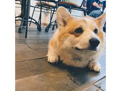 -肥朵食堂(带梦胡同店)