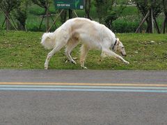 -白鹭湾湿地公园