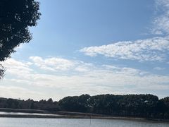 -广富林郊野公园