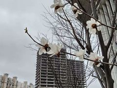 -上海体育场