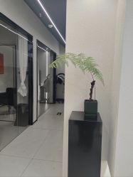 -FINE HAIR 烫染专业设计