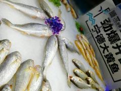 -盒马渔市(平高企业集团·平高广场店)