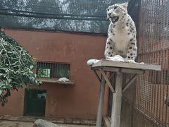 -青藏高原野生动物园