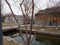 -春风习习