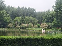 -仁和公园(顺义区)