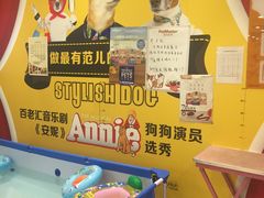-神采飞扬宠物美容(香港路店)