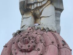 景点-大金鹰园