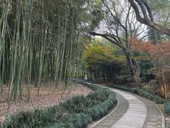 -兰亭风景区