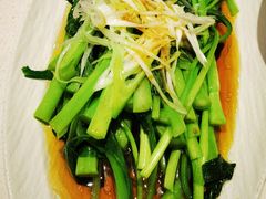 -1937青岛老味道·海肠捞饭·青岛菜(大鲍岛栈桥店)