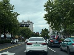 -青藤茶馆(南山路店)