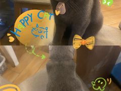 -春笙食堂.丼饭拉面寿司(GOGO新天地店)