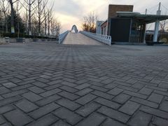 -大兴滨河森林公园