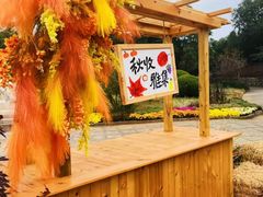 -北京十三陵国家森林公园蟒山景区