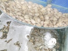 -京秀缘蒸汽海鲜农家菜大馅蒸饺