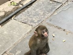 -华仔龙虾(永乐路总店)