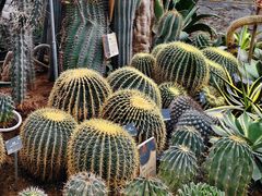 -国家植物园南园