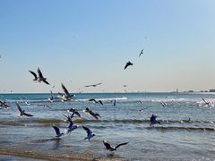 -老虎石海上公园