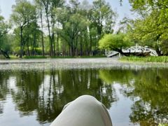 -上海共青森林公园