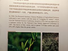 -中国茶叶博物馆(双峰馆区)
