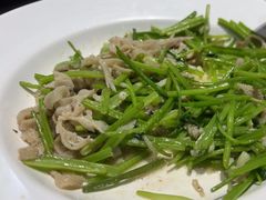 -紫光园·烤鸭·北京菜(团结湖店)