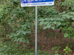 -同里国家湿地公园
