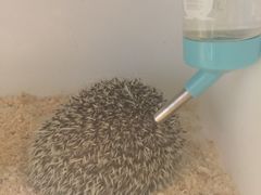 -藦茜花园宠物主题亲子互动体验馆(国顺东路店)