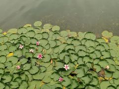-苏州太湖湖滨国家湿地公园