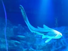 -沈阳海洋探索中心