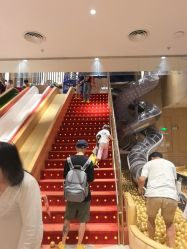 -奈尔宝·儿童乐园·亲子餐厅(前滩店)